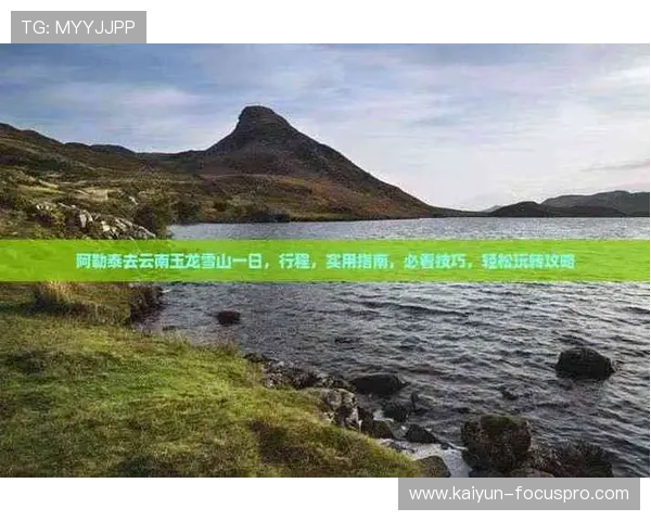 玩球波胆赔率分析避坑指南高频玩法防骗技巧